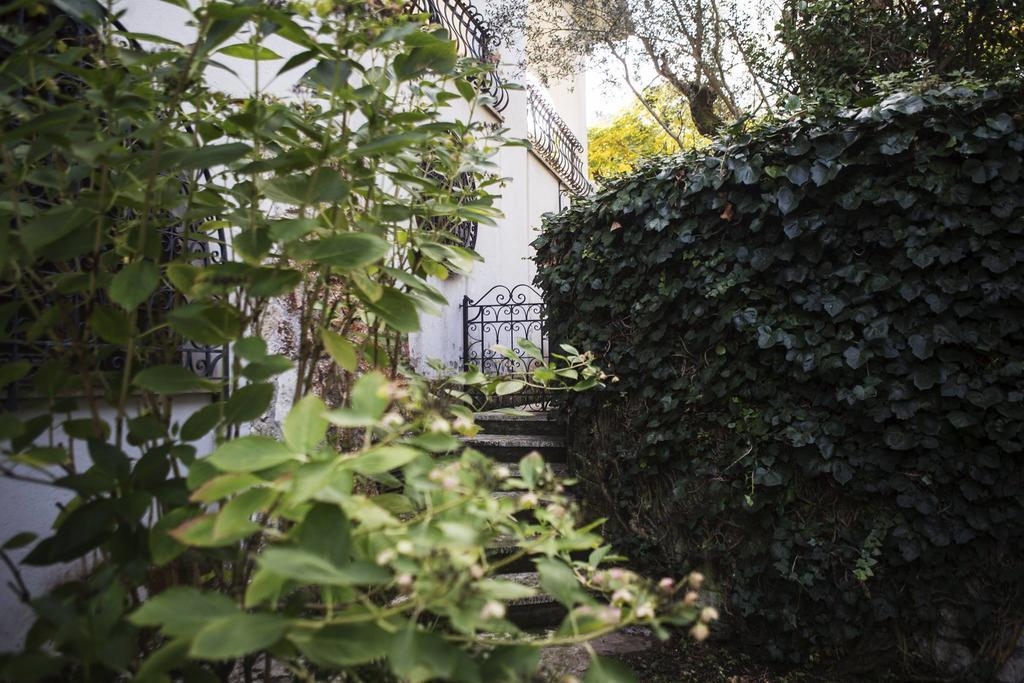 Il Pettirosso B&B Grottaferrata Luaran gambar