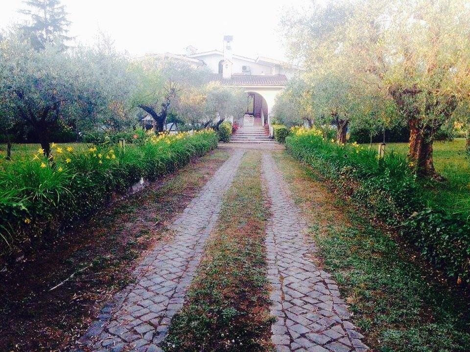 Il Pettirosso B&B Grottaferrata Luaran gambar