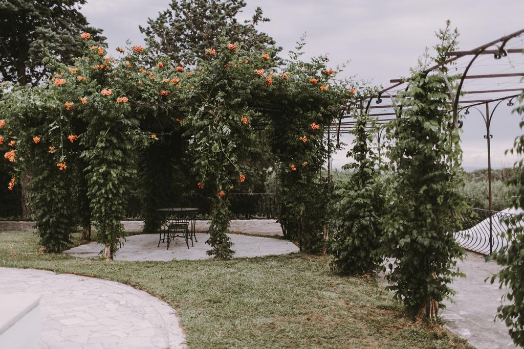 Il Pettirosso B&B Grottaferrata Luaran gambar
