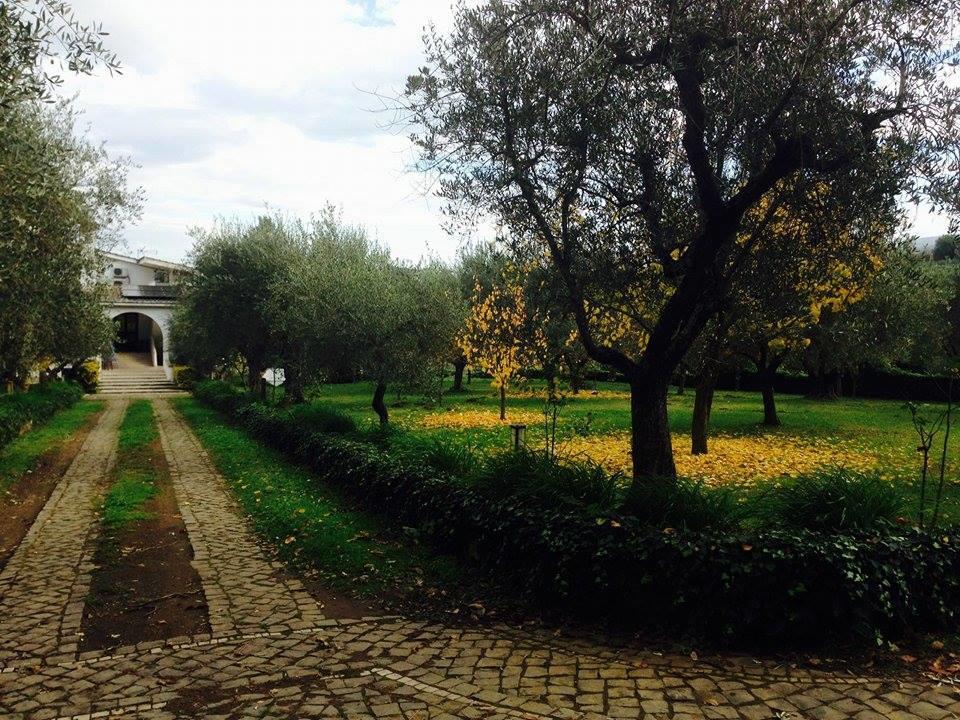 Il Pettirosso B&B Grottaferrata Luaran gambar