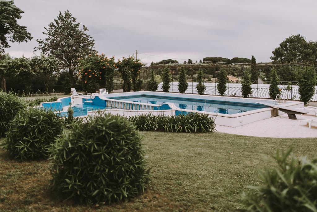 Il Pettirosso B&B Grottaferrata Luaran gambar