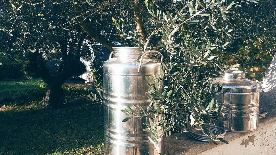 Il Pettirosso B&B Grottaferrata Luaran gambar