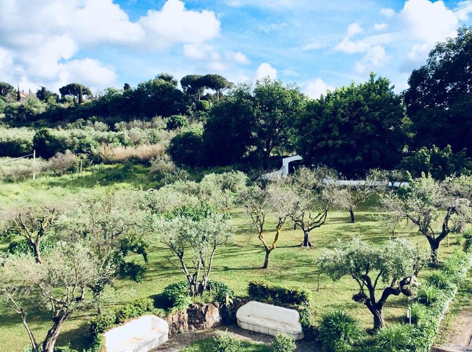 Il Pettirosso B&B Grottaferrata Luaran gambar