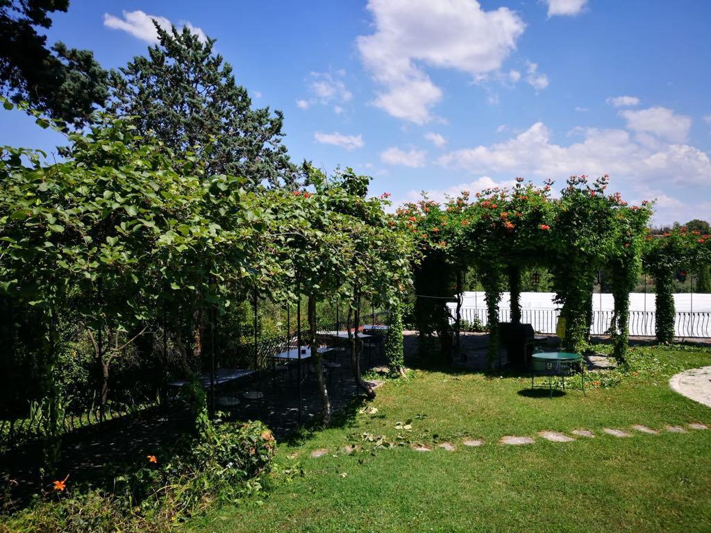 Il Pettirosso B&B Grottaferrata Luaran gambar